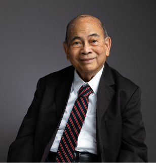 Bernardo M. Villegas
